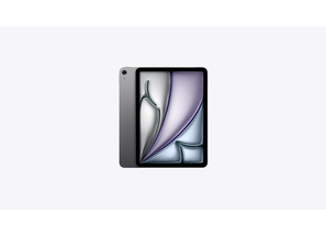 iPad Air Grey